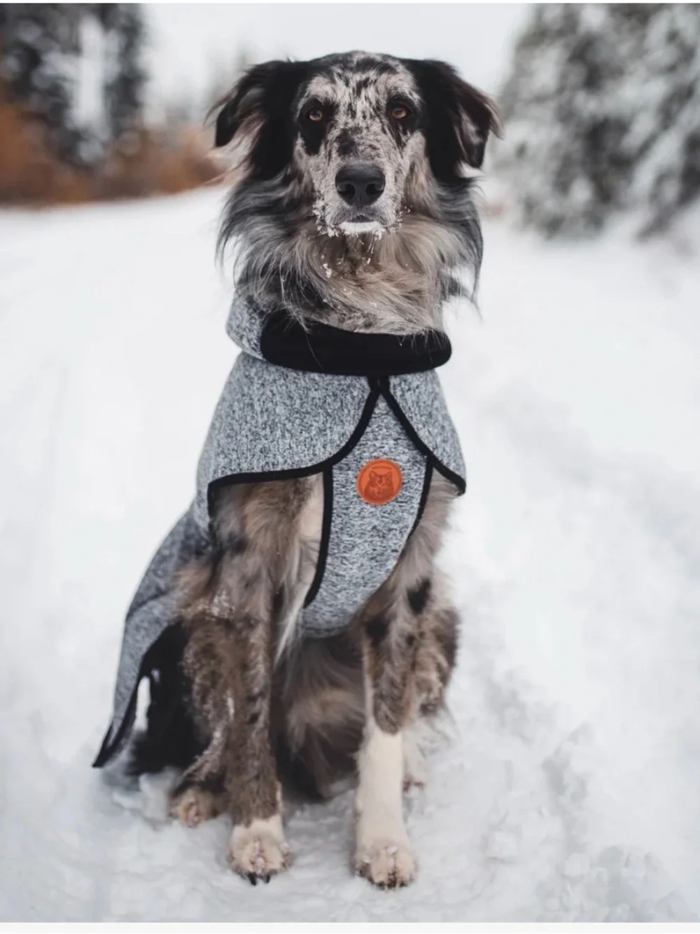 Heather Gray Winter Dog Coat with Orange Patch